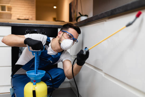 Best Termite Control Services  in Roland, IA