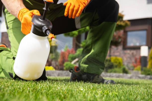 Reliable Roland, IA Pest Control Solutions