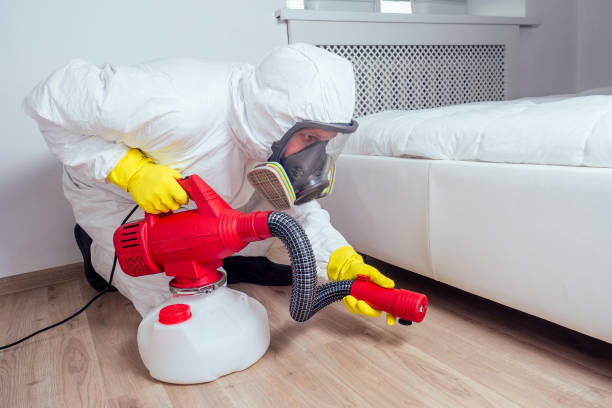 Best Residential Pest Control  in Roland, IA