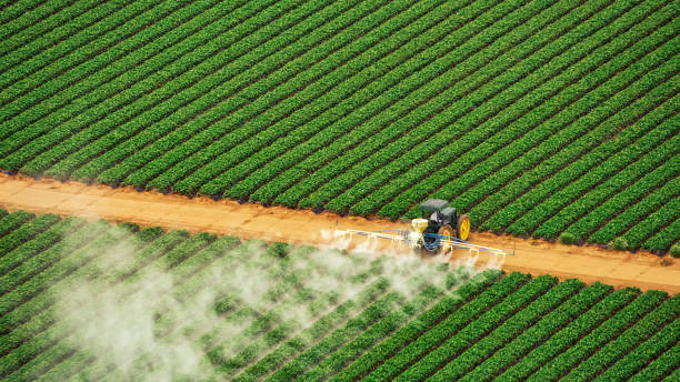Best Best Pest Control Companies  in Roland, IA