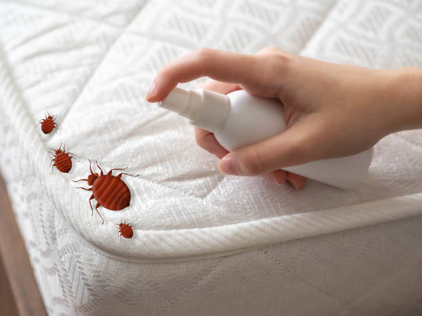 Best Cockroach Control Services  in Roland, IA