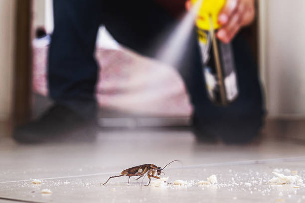 Best Pest Removal Services  in Roland, IA