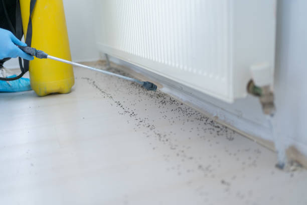 Best Wildlife Control Services  in Roland, IA