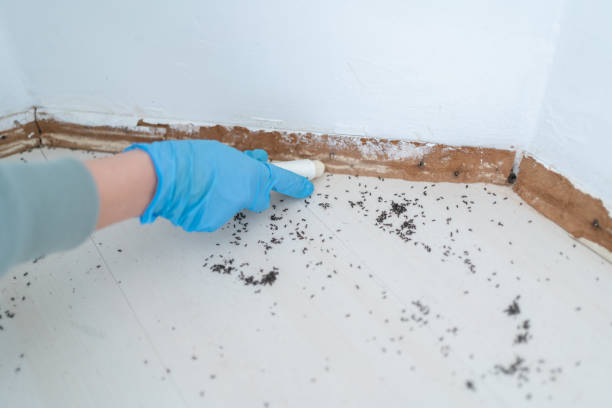 Wildlife Control Services in Roland, IA