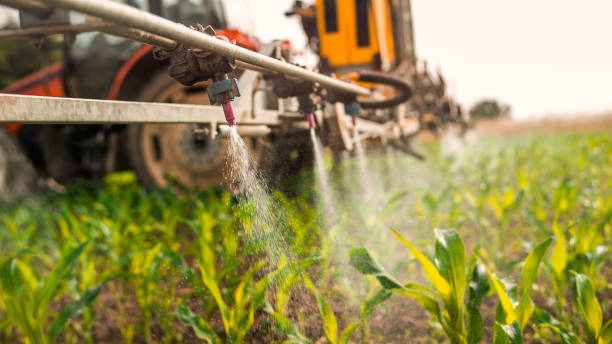 Best Commercial Pest Control Services  in Roland, IA